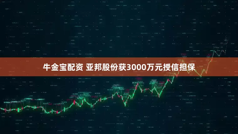 牛金宝配资 亚邦股份获3000万元授信担保
