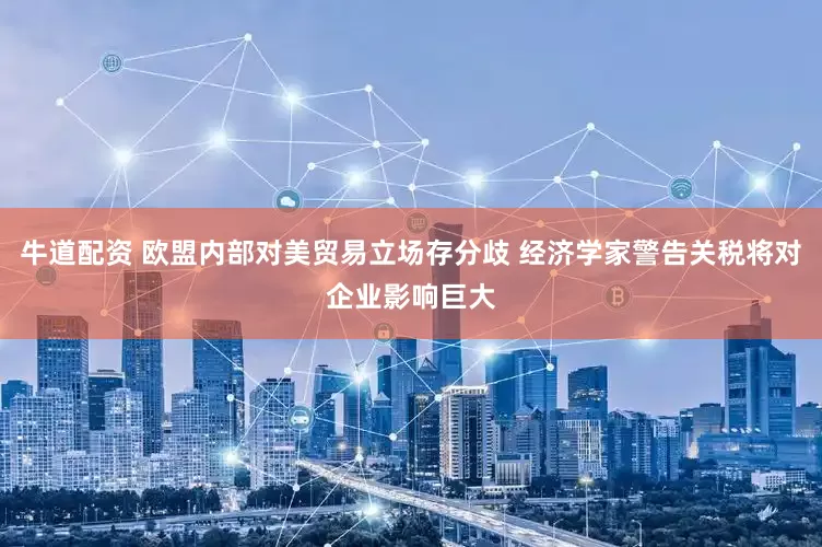 牛道配资 欧盟内部对美贸易立场存分歧 经济学家警告关税将对企业影响巨大