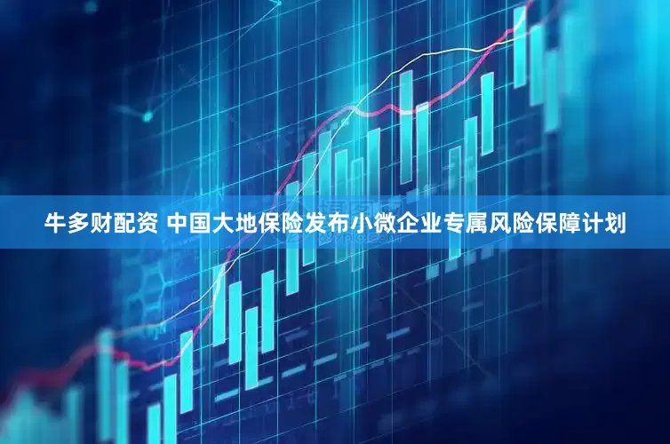 牛多财配资 中国大地保险发布小微企业专属风险保障计划