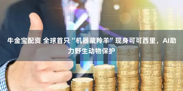 牛金宝配资 全球首只“机器藏羚羊”现身可可西里，AI助力野生动物保护
